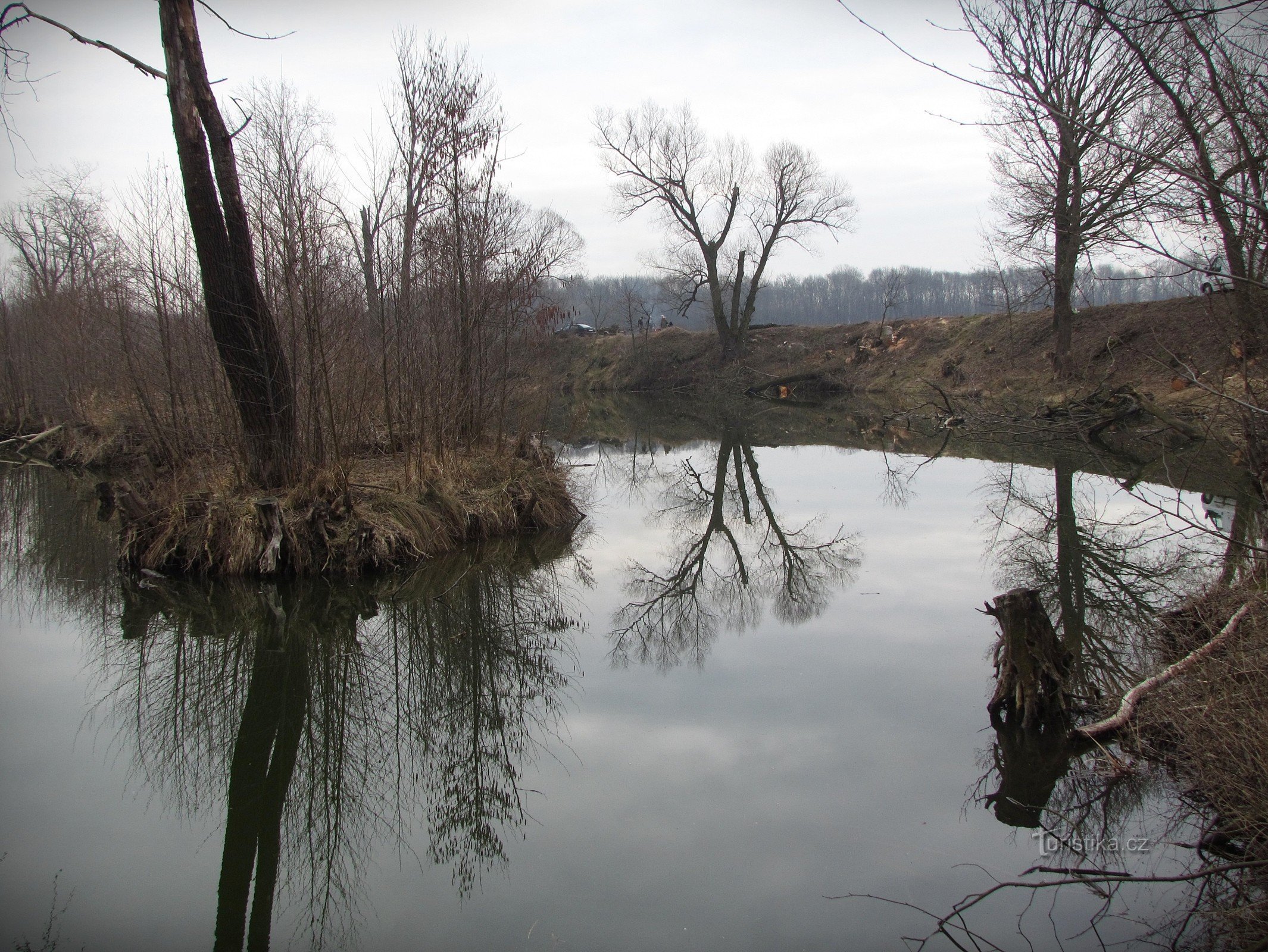 スロヴァーツコのモラヴァ川の盲川支流について