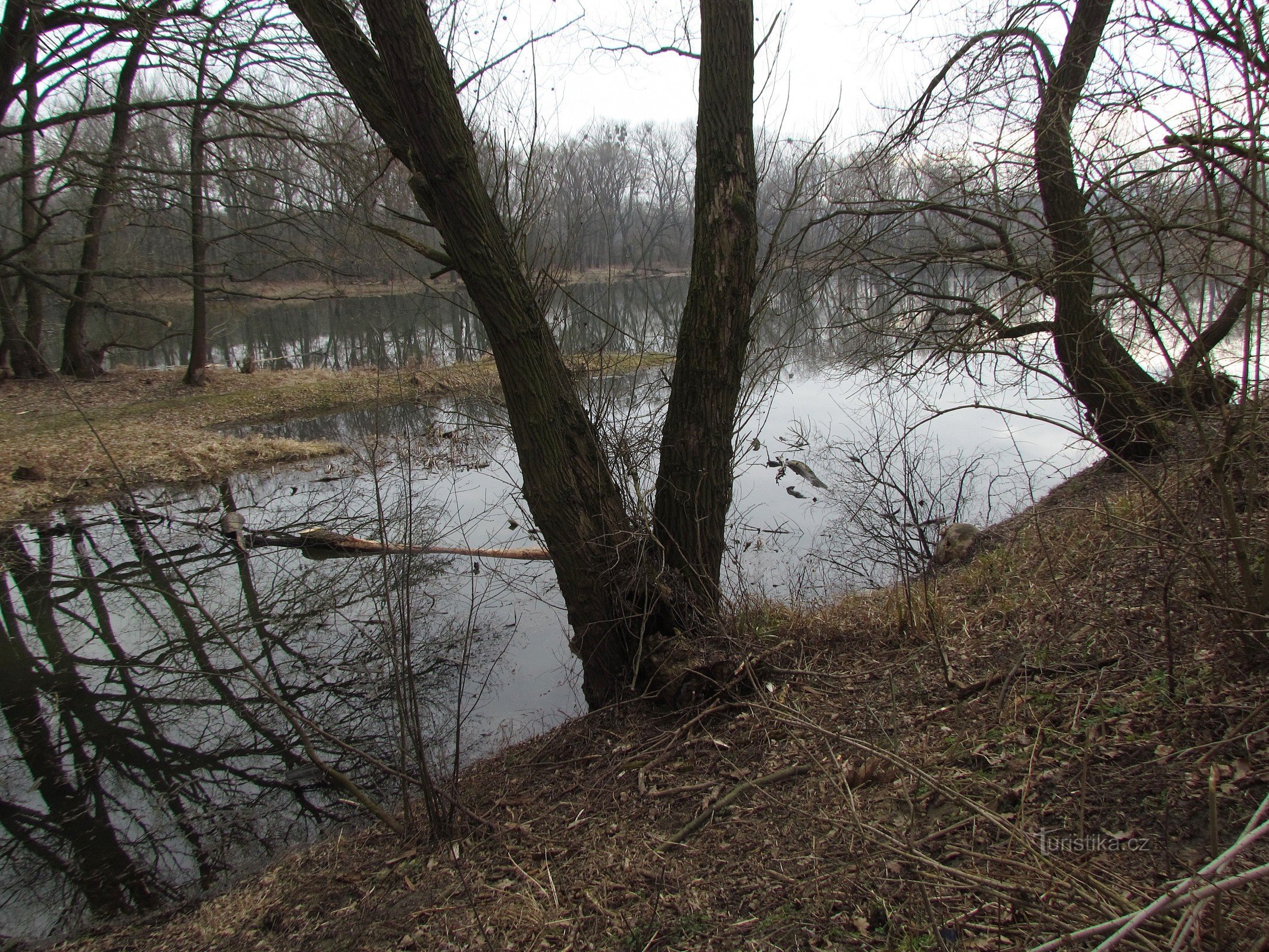 Over de blinde takken van de rivier de Morava in Slovácko