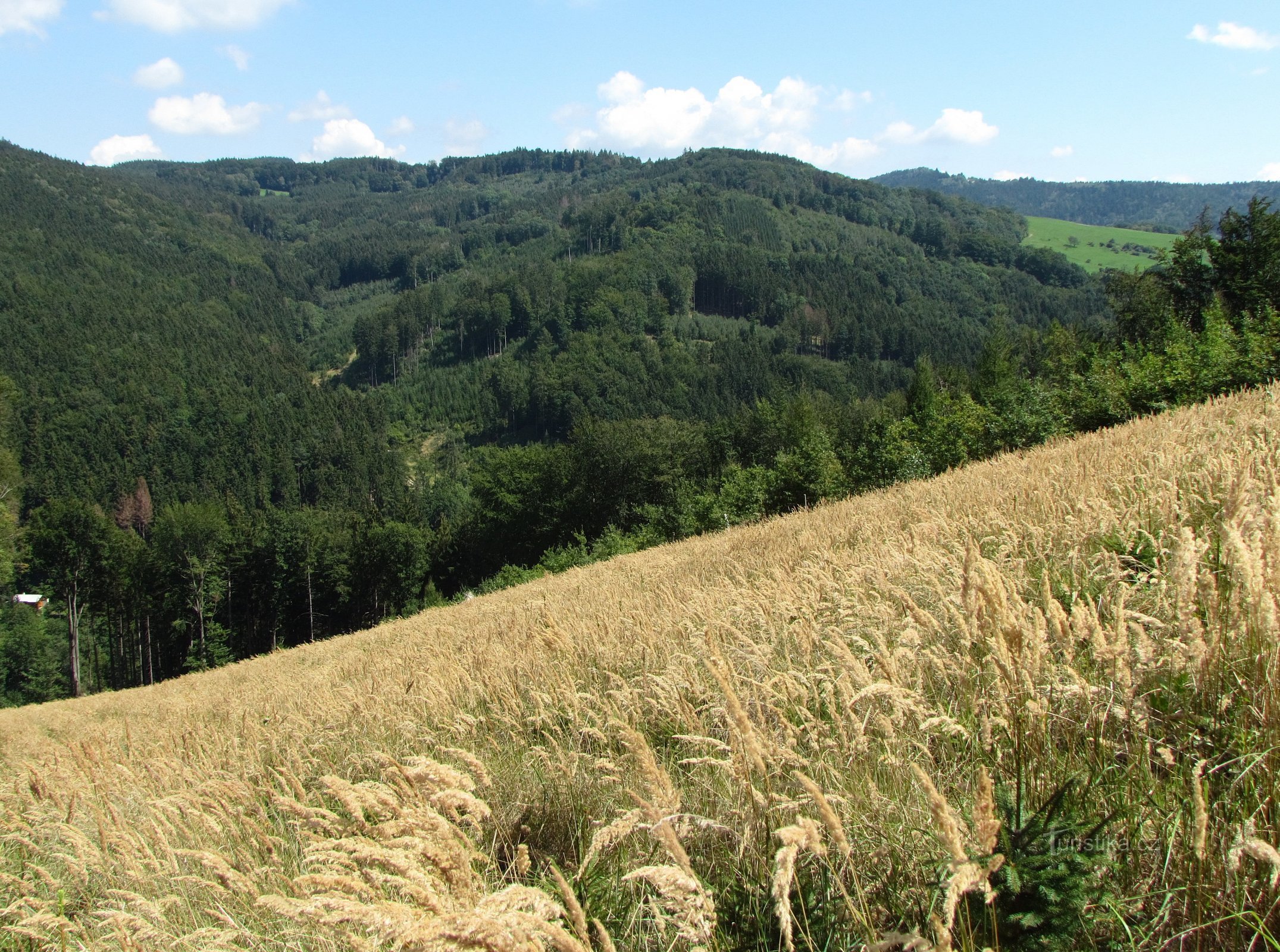 Sulla strada gialla da Rusava al castello di Křídlo