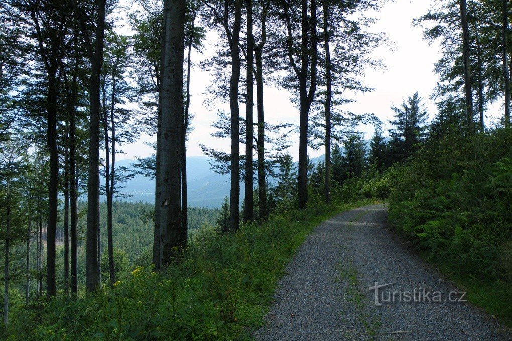 Bypassing Kyčera