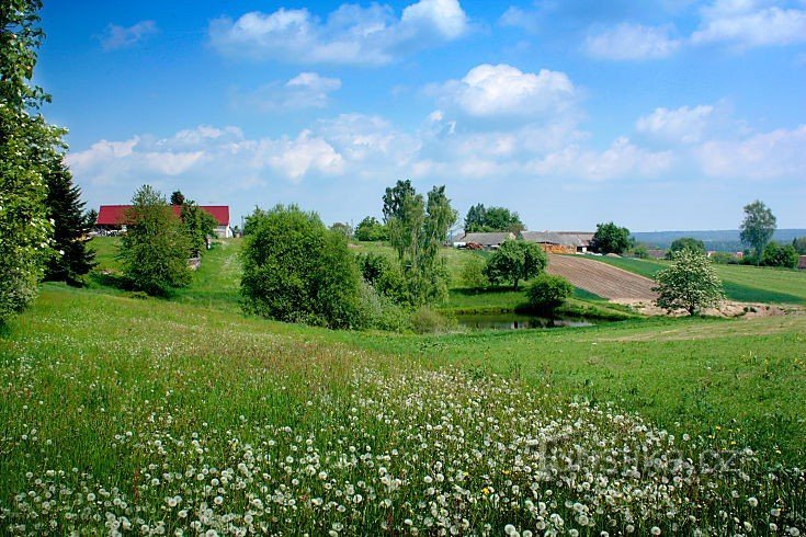 The village of Buková