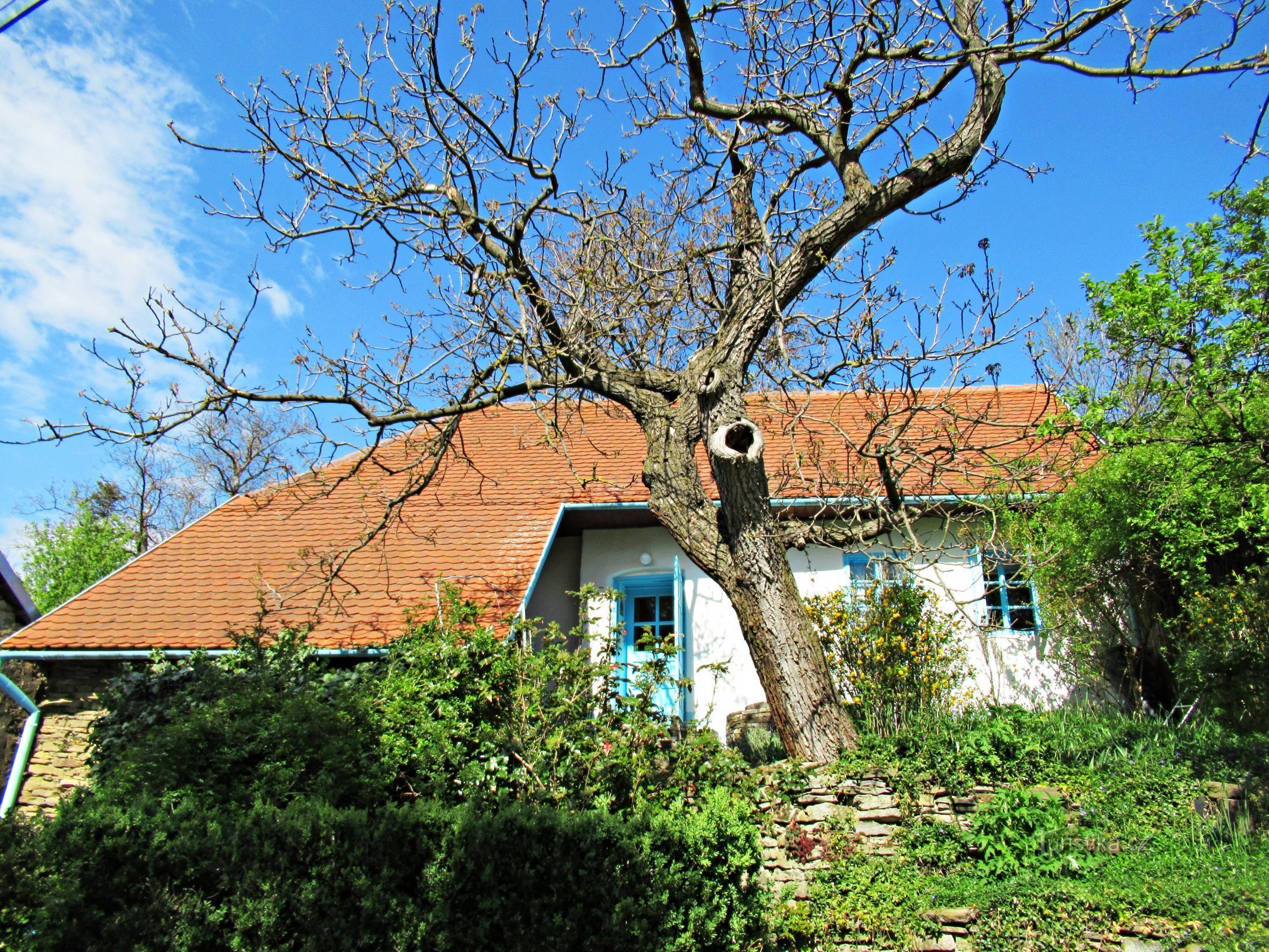 Het dorp Javorník, pittoreske huizen in de omgeving - Kopanky in het dorp Javorník in Slovácko