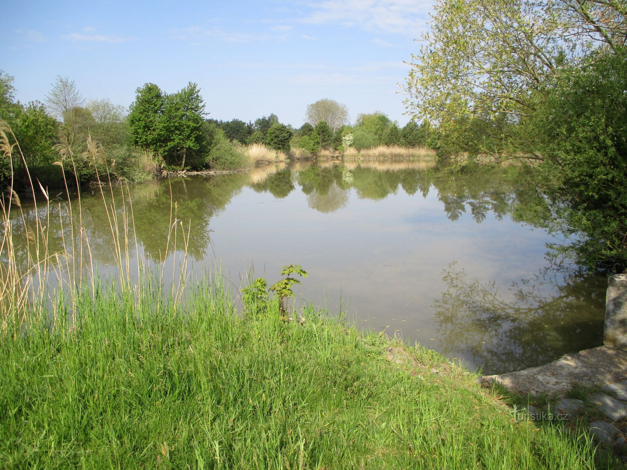 Obecní rybník čili Račák (Bělečko, 16.5.2020)