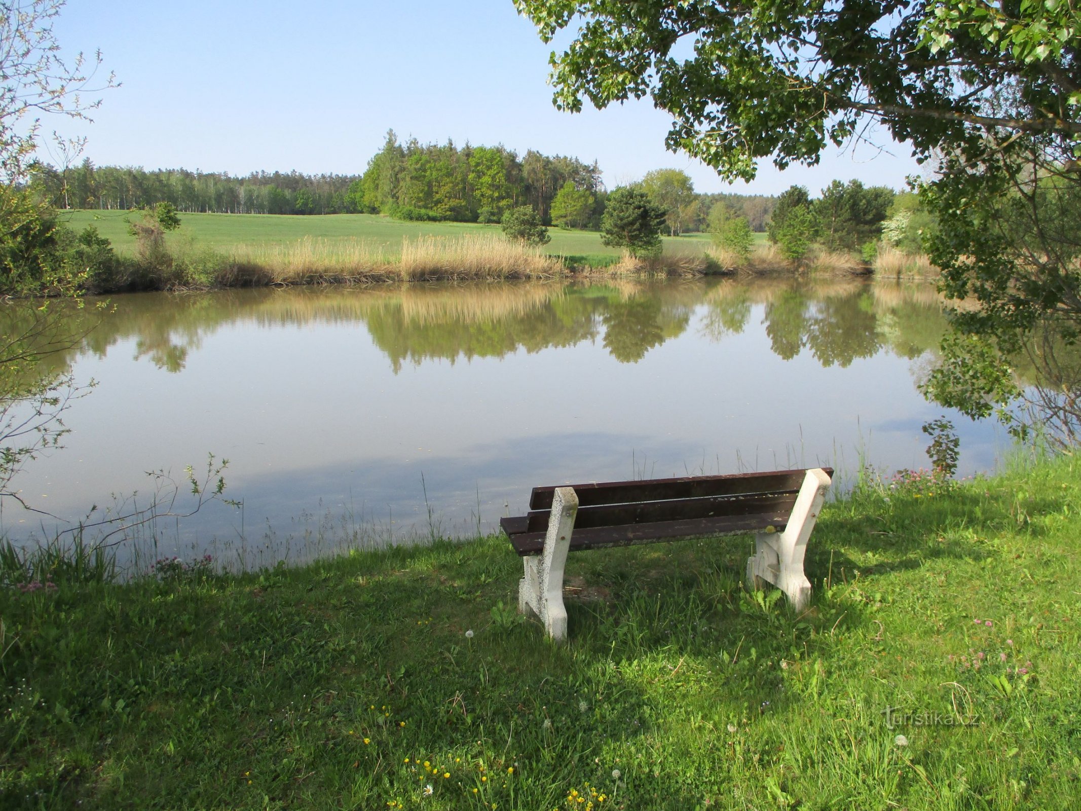 Iaz municipal, adică Račák (Bělečko, 16.5.2020)