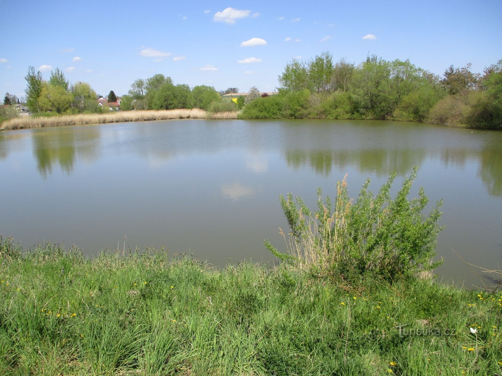 Municipal pond (Dlouhé Dvory, 27.4.2020/XNUMX/XNUMX)