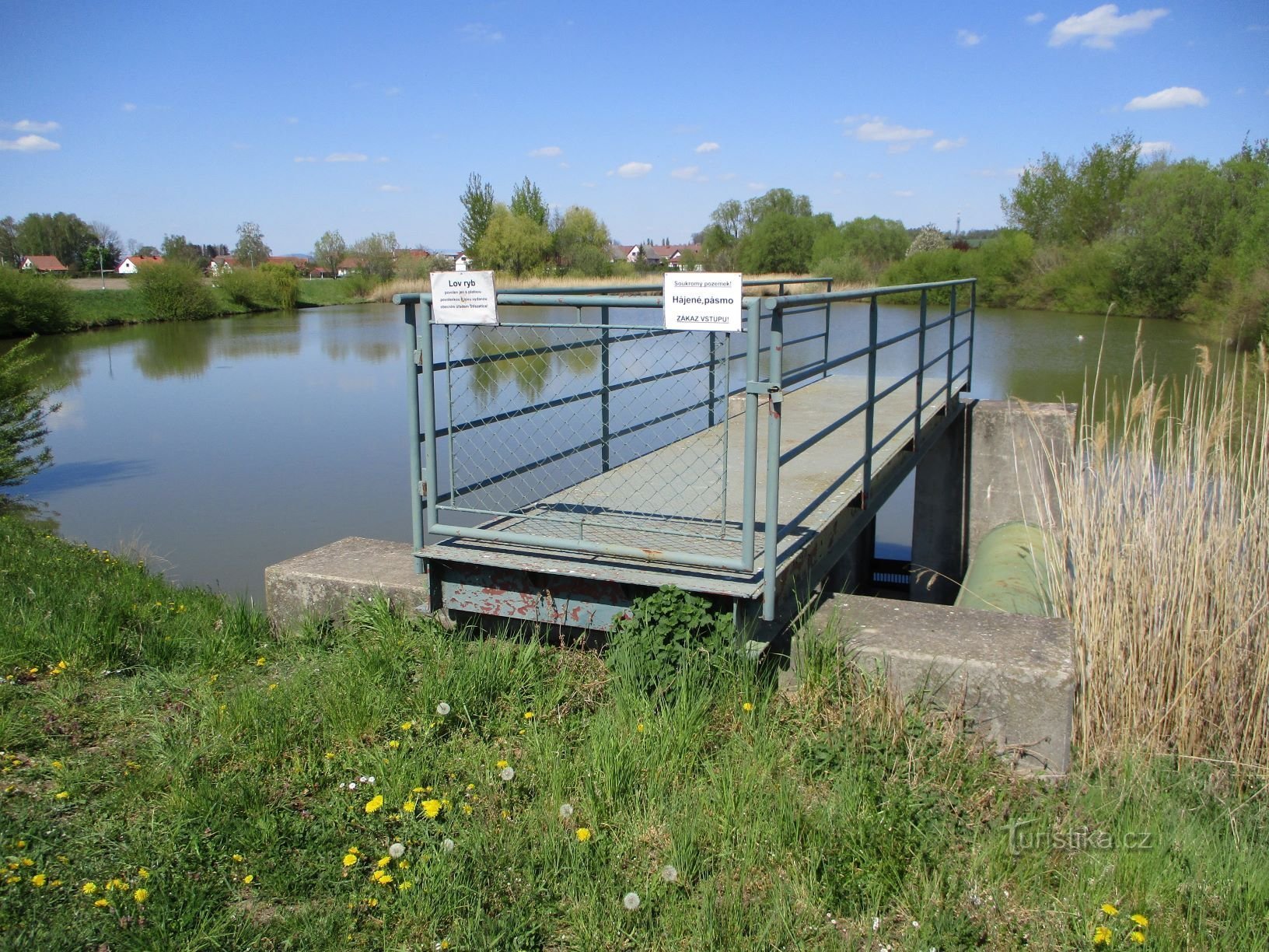 Municipal pond (Dlouhé Dvory, 27.4.2020/XNUMX/XNUMX)