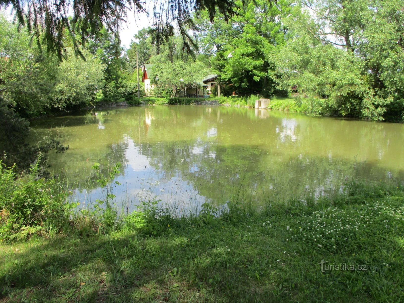 Općinski ribnjak (Libníkovice, 15.6.2020.)