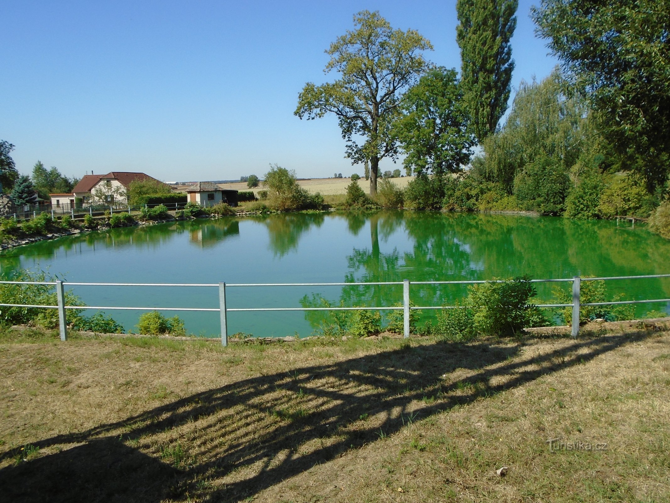 Étang municipal (Rozběřice, 11.8.2018 août XNUMX)