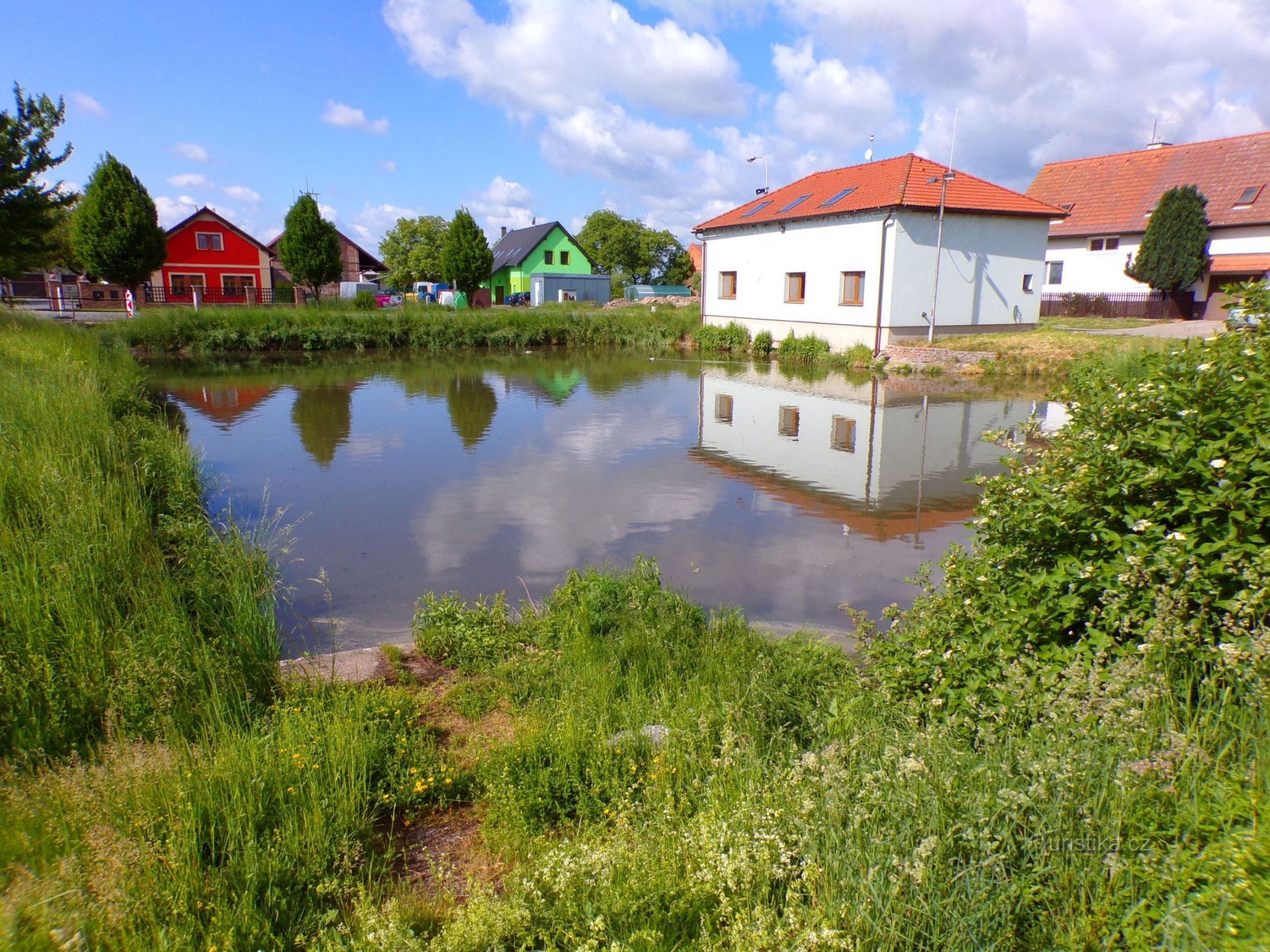 Obecní rybník (Urbanice, 22.5.2022)