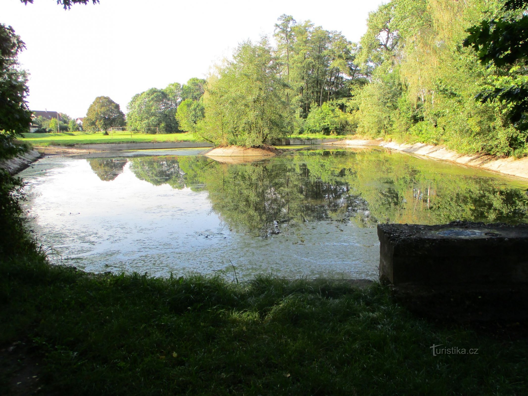 Ao thành phố ở Věkošy (Hradec Králové, 13.9.2019/XNUMX/XNUMX)