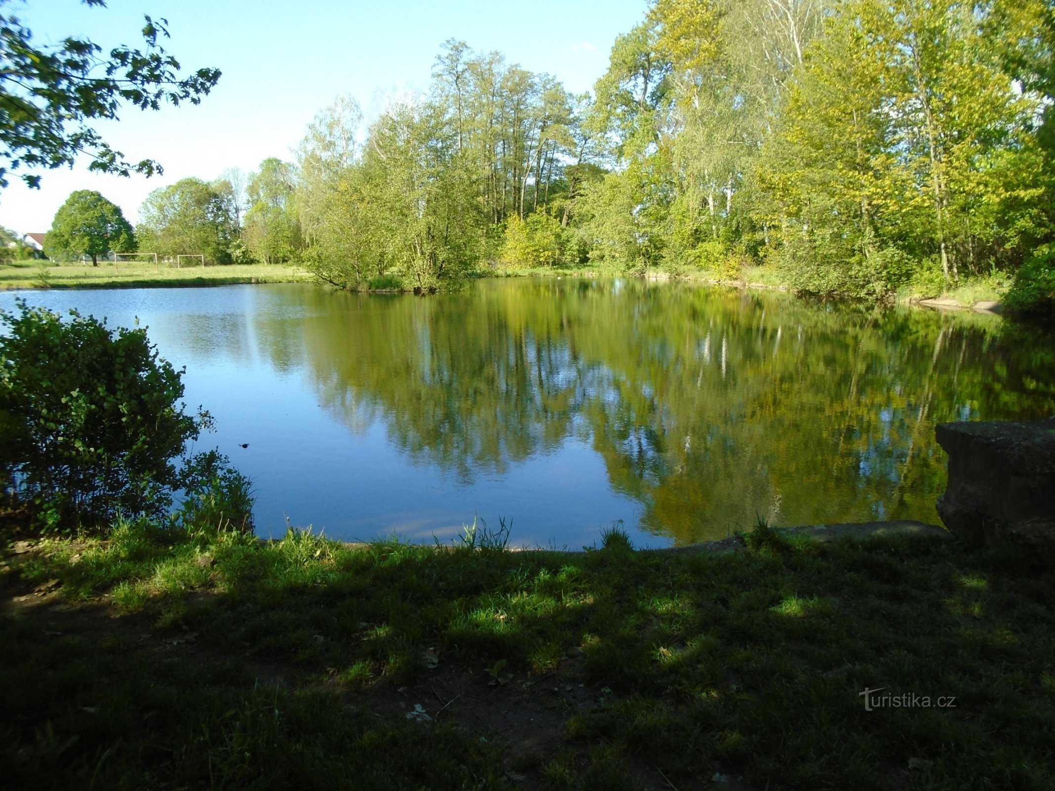Obecní rybník ve Věkoších (Hradec Králové, 14.5.2019)