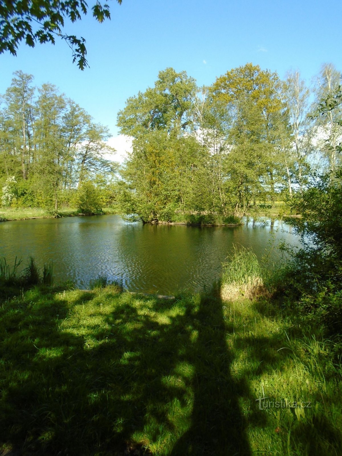 Δημοτική λίμνη στο Věkošy (Hradec Králové, 14.5.2019/XNUMX/XNUMX)