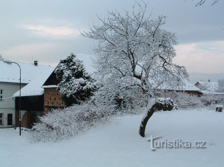 Kunnallinen puutarha