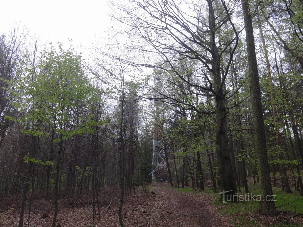 Obětová - найвищий пагорб в околицях Лугачовіце