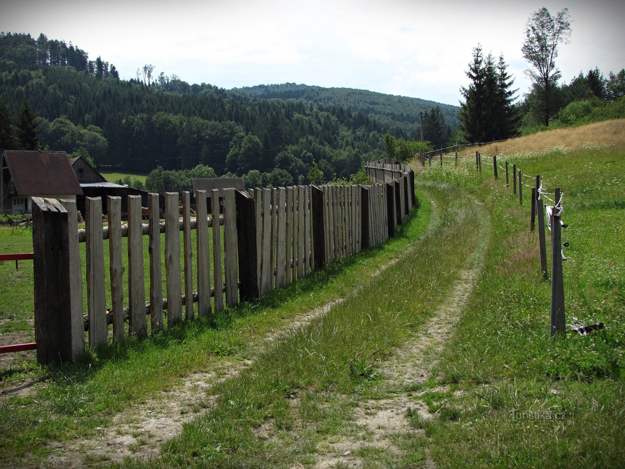 zona ferroviaria forestale