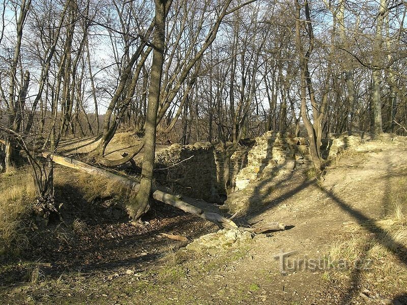 The area of ​​the remains of the castle in the Kunratic Forest