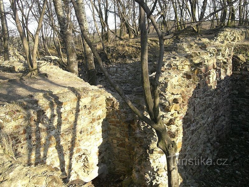 L'area dei resti del castello nella foresta di Kunratic
