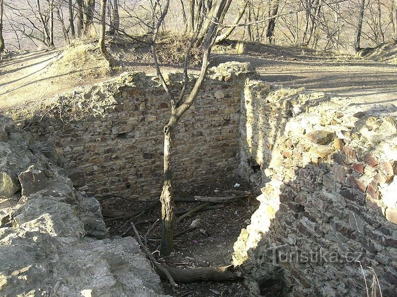 L'area dei resti del castello nella foresta di Kunratic