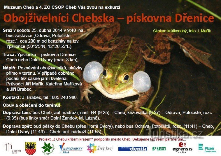 Obojživelníci Chebska - plakát