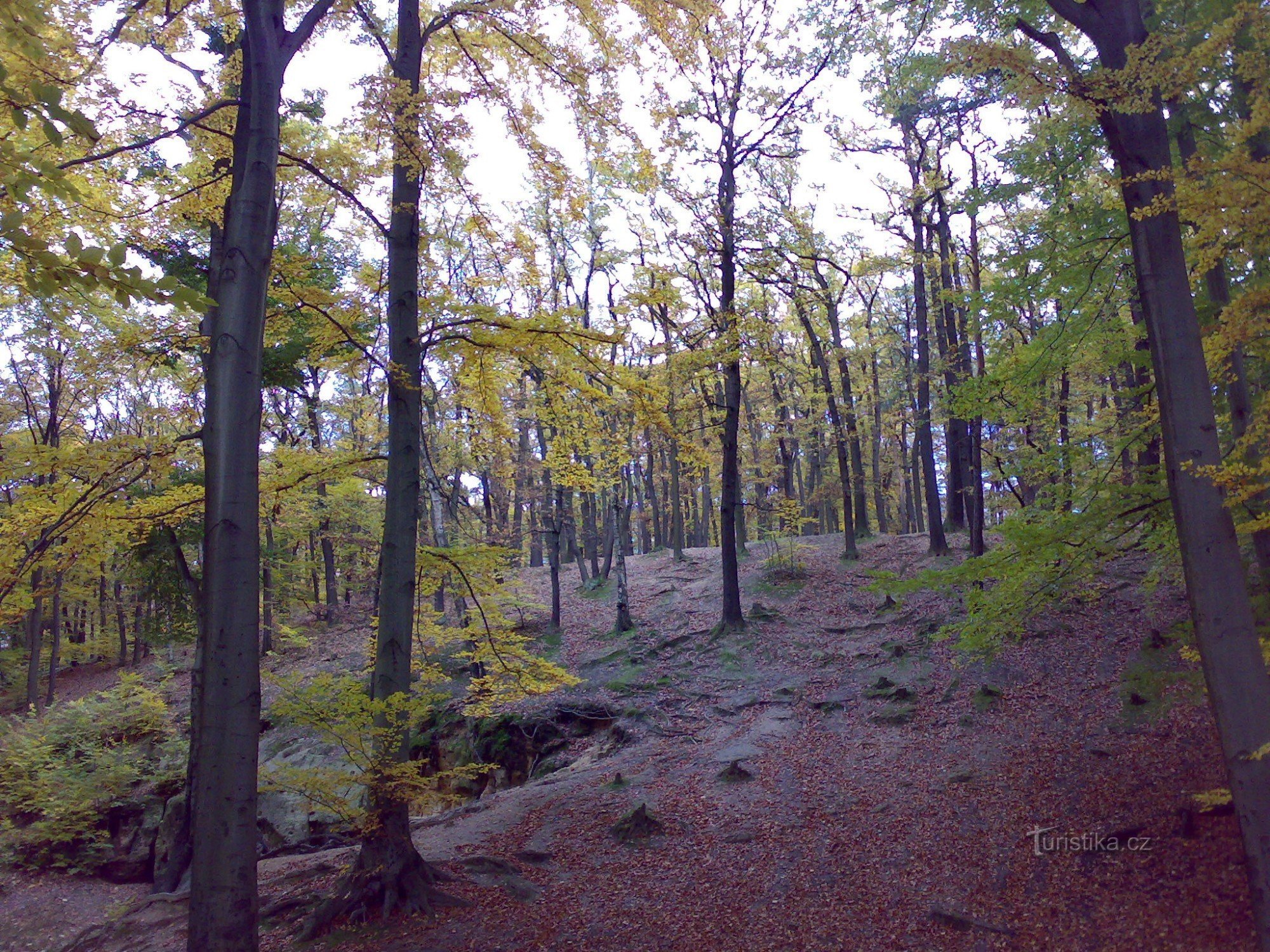 Rezerwat przyrody Hvězda jesienią.
