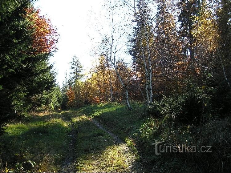 Polje: Polje - vrh (točka triangulacijske mreže)