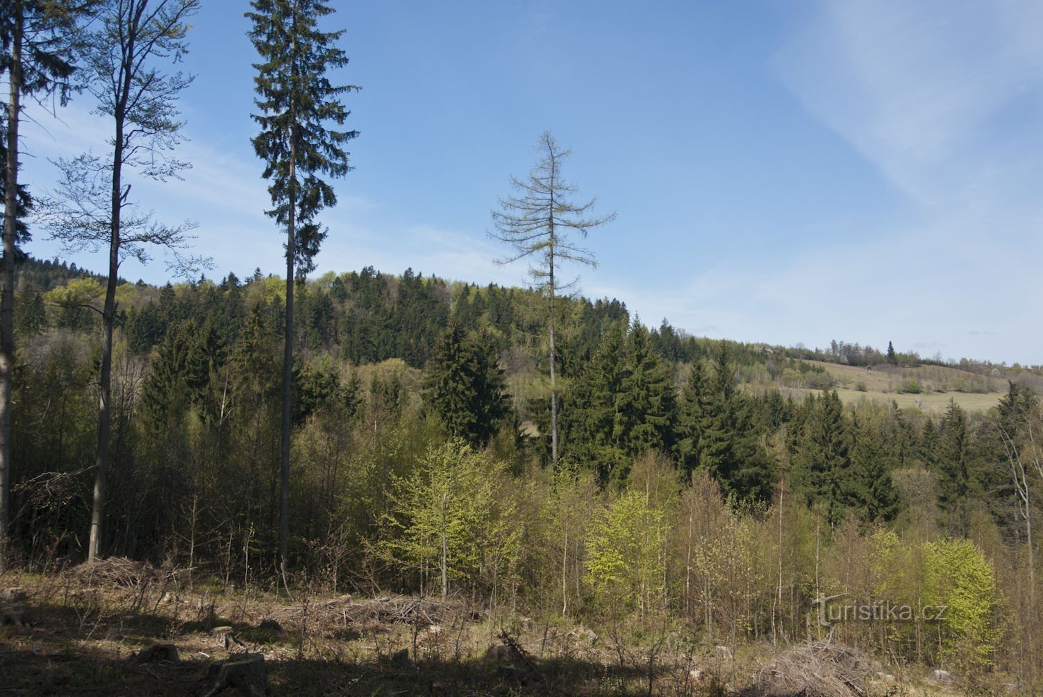 Naturreservatet Pócátka