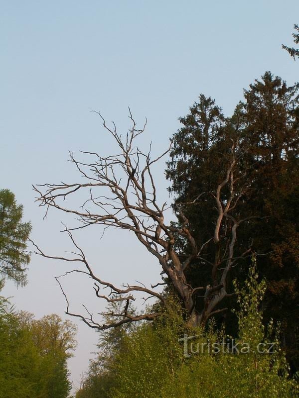 Reserva Natural Embalse