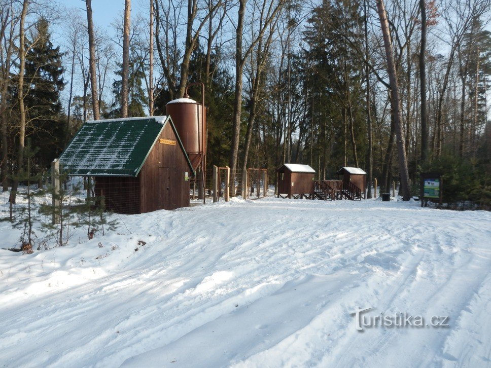 Parc aux daims, arrivée