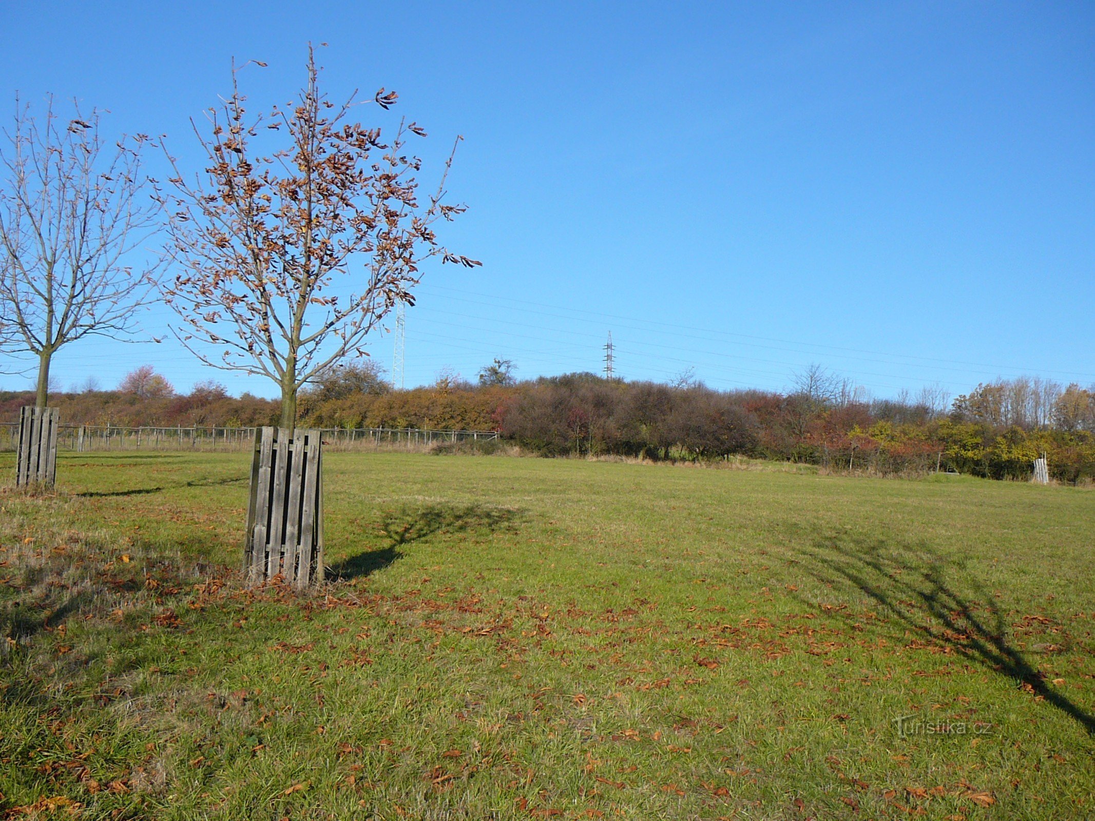 Naturschutzgebiet Sovinec