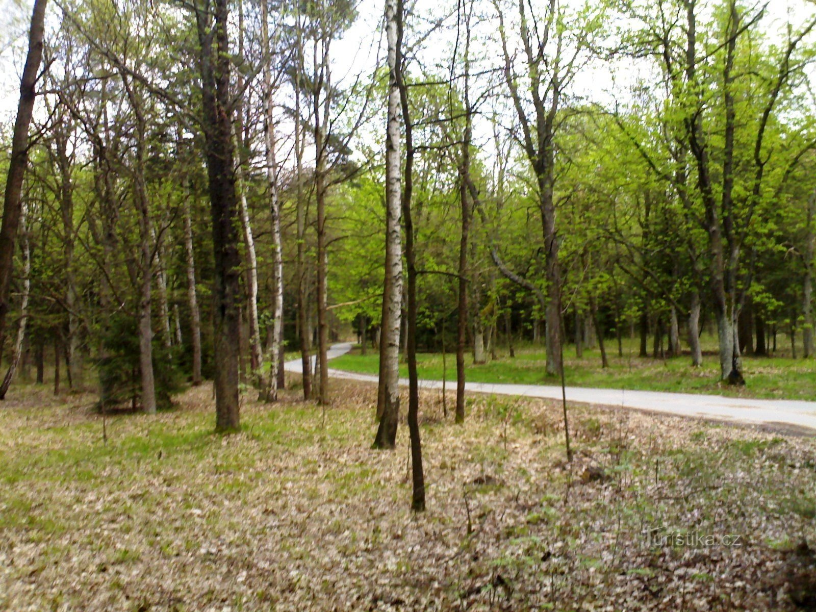 Reserva natural - En la glorieta