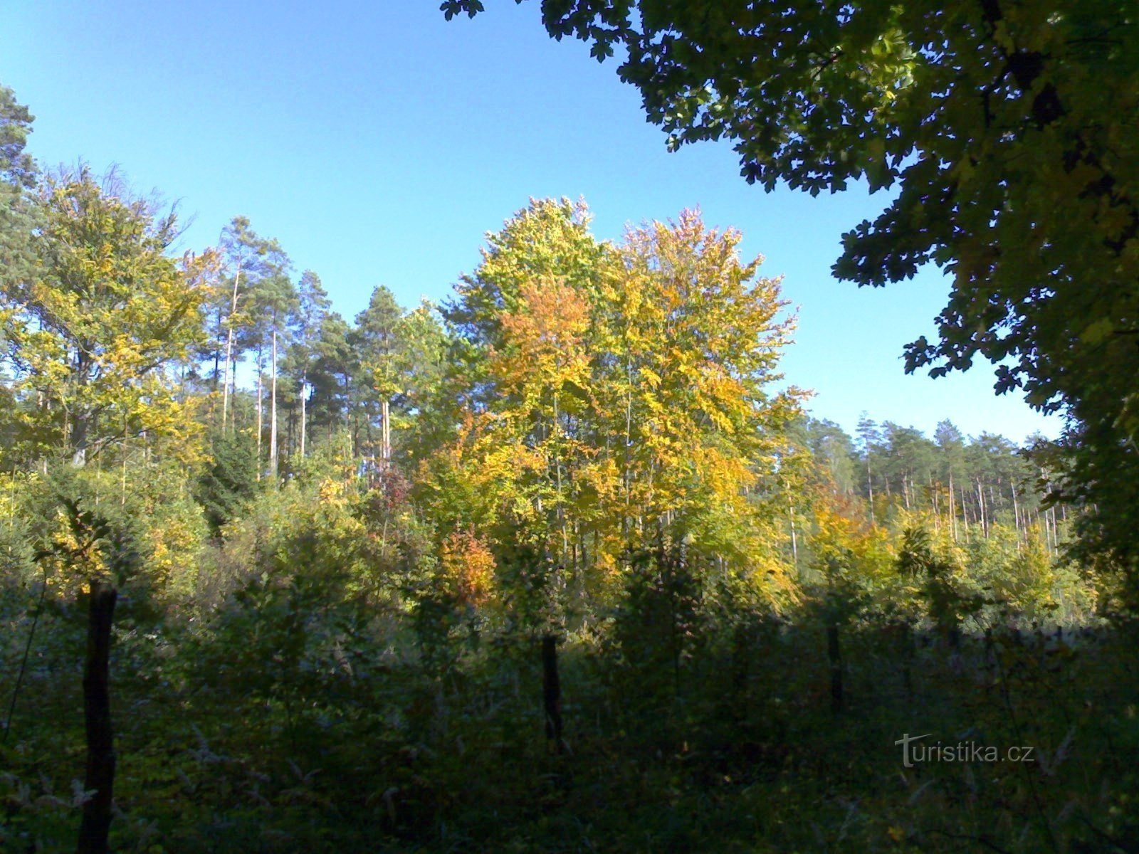 Natuurreservaat - Bij de gloriette