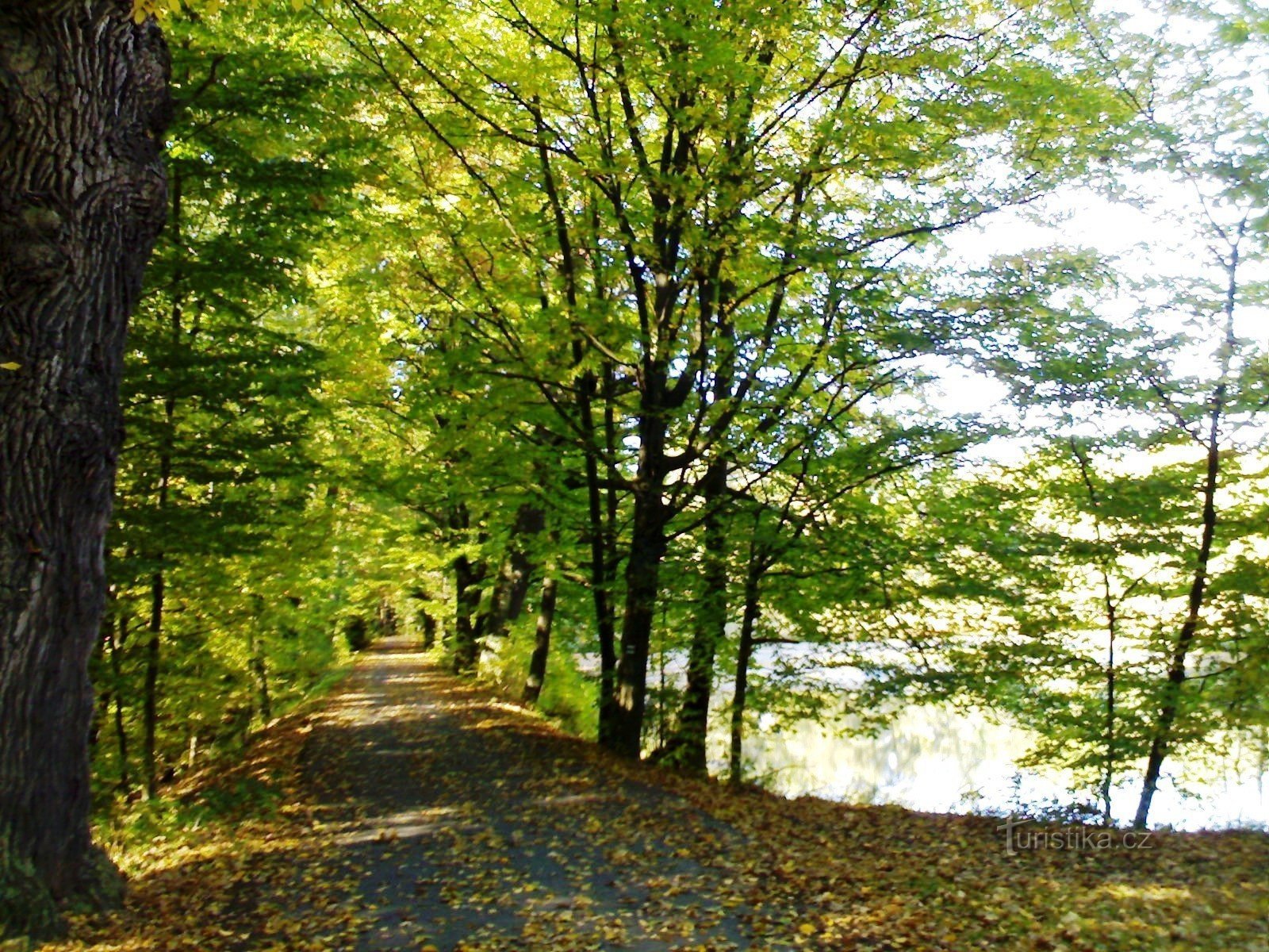 Naturreservat - U Houkvice