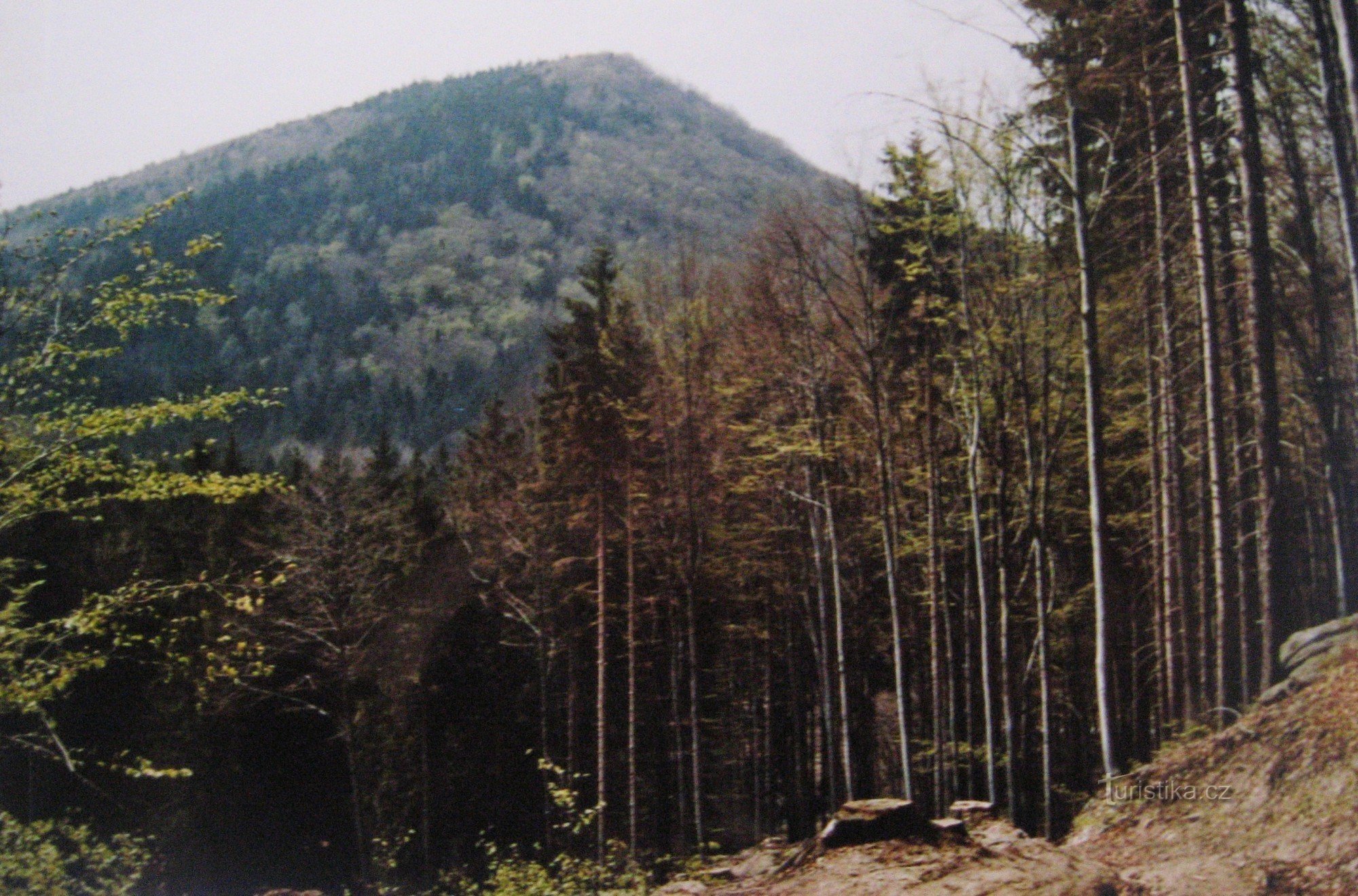Geschützt vom Bludný-Hügel