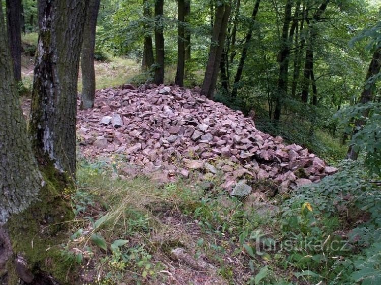 Obřany: Sutiny, které dnes zbývají z hradního paláce.