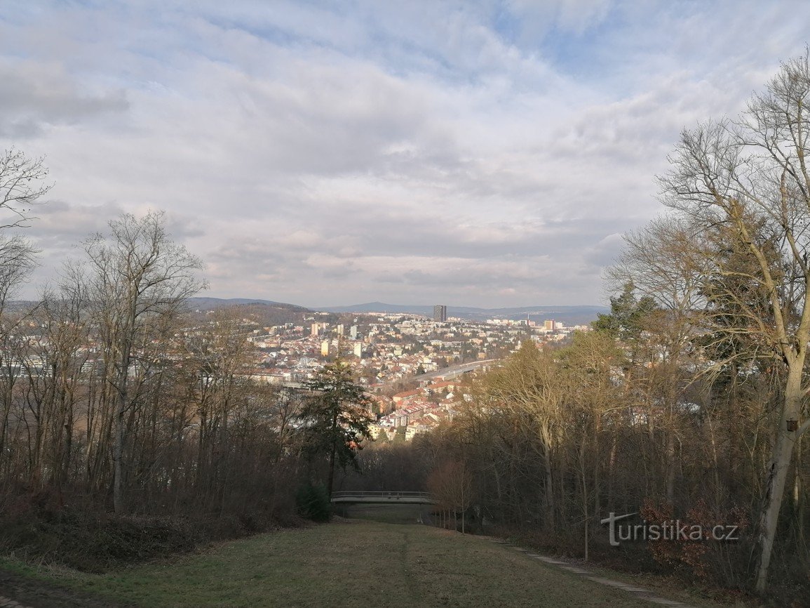 Immagini da Brno - punti panoramici IV - La foresta di Wilson