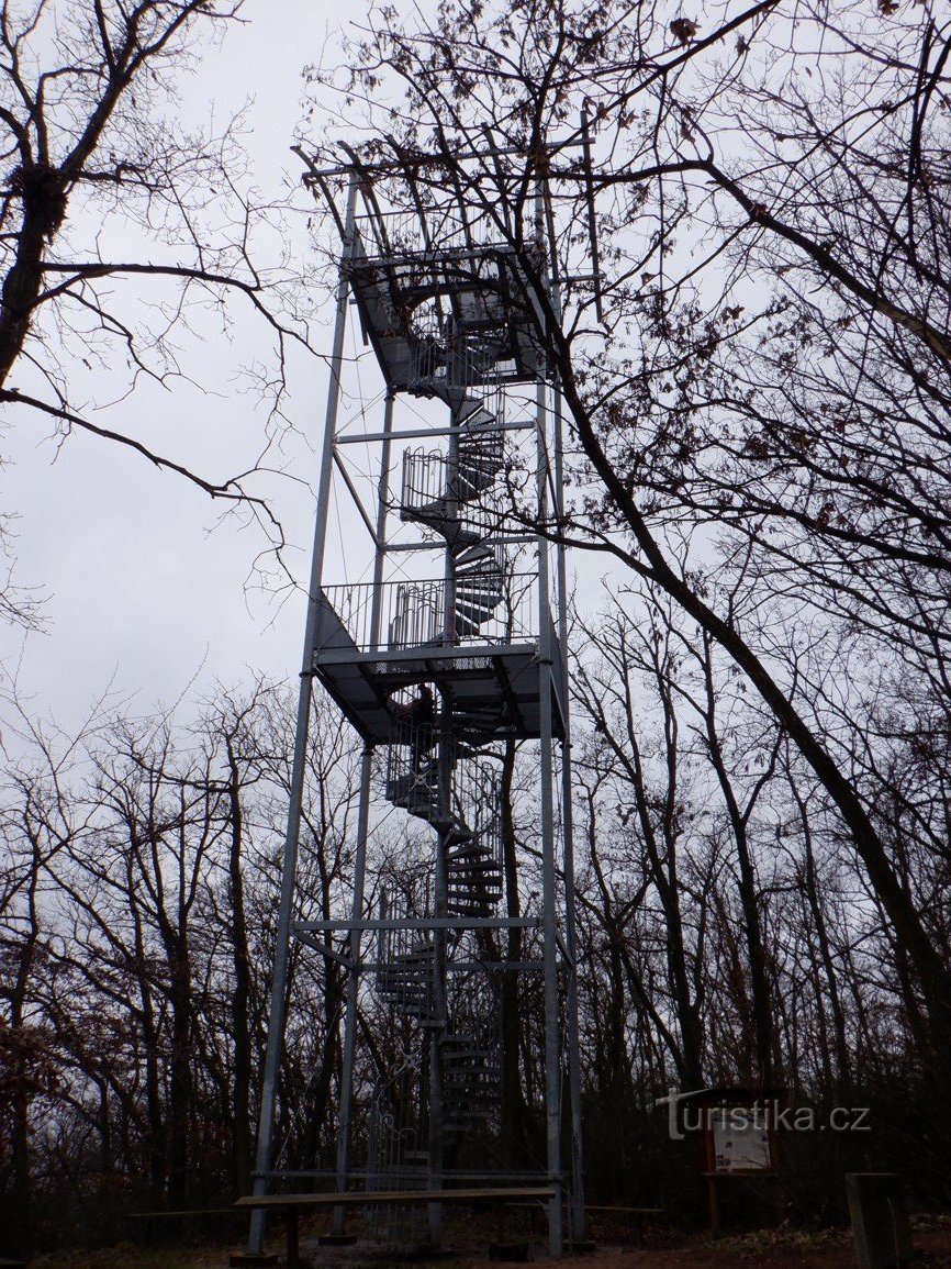 Pictures from Brno - lookout points IX - Ostrá Horka - Tree