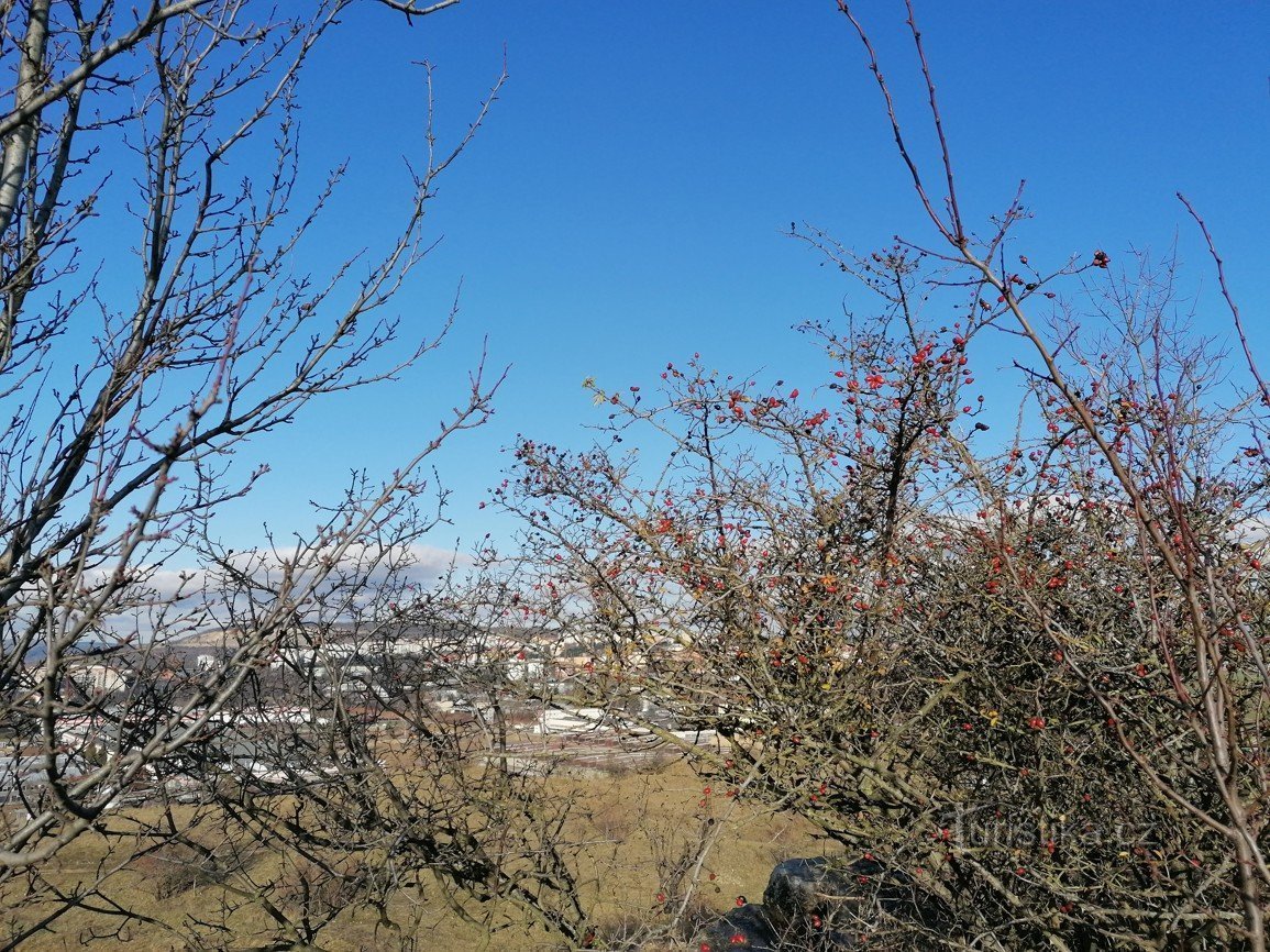 Imagini din Brno - obiective turistice VIII - Stránská skála