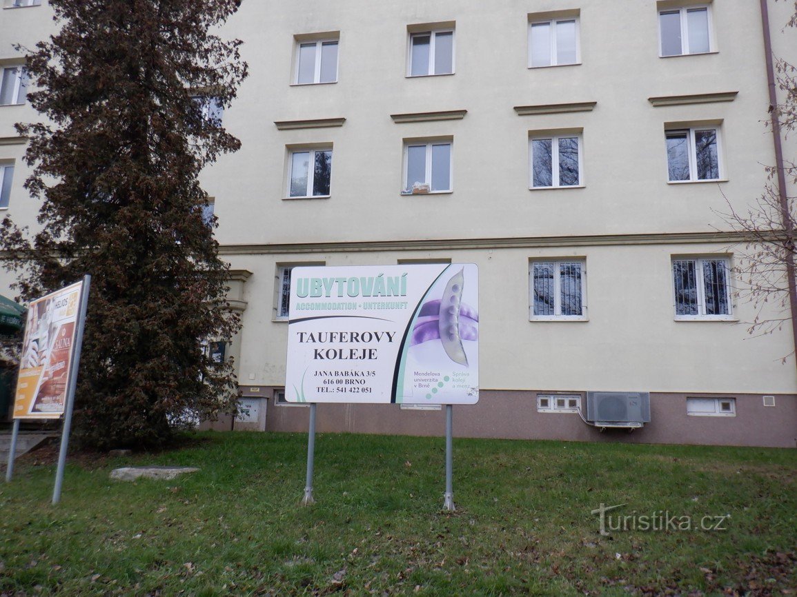 Pictures from Brno - university dormitories, Čtverec and Ambra