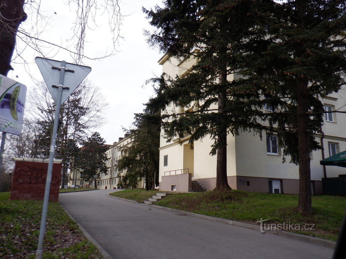 Fotos de Brno - dormitórios universitários, Čtverec e Ambra