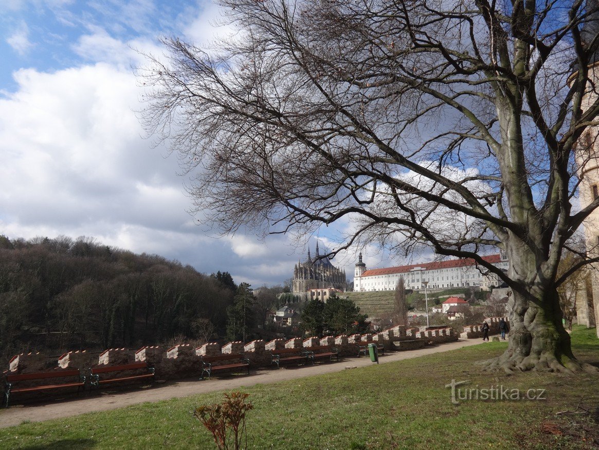 Bilder från Kutná Hora - höga och arkitektoniskt fängslande "Saint Barbara"