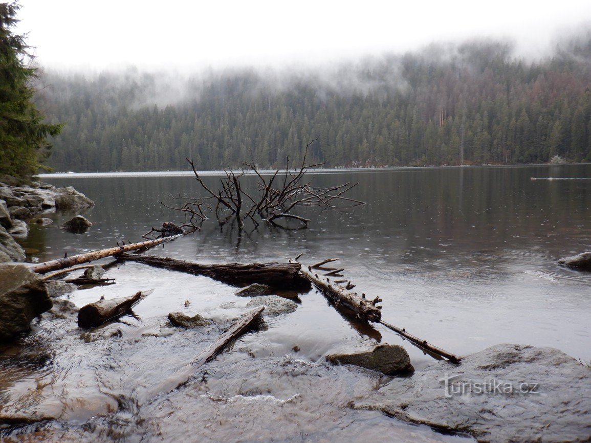 Imagens de Šumava - Lago do Diabo e Mar Negro