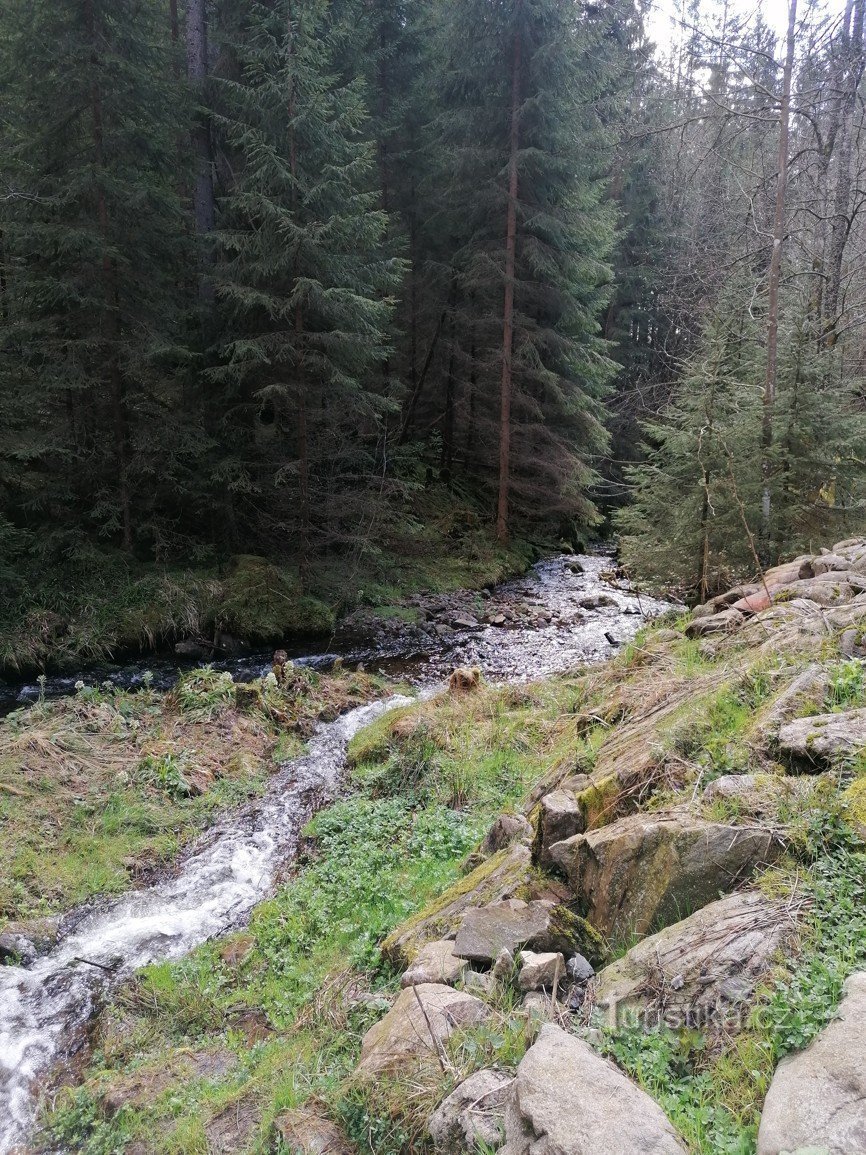 Kuvia Šumava - Kneipp kylpylästä Železná Rudassa