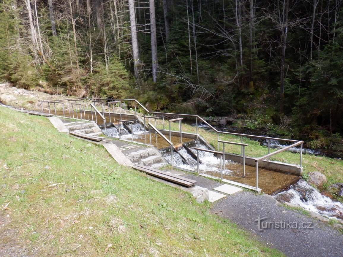 Bilder aus dem Böhmerwald - Kneippbad in Železná Ruda