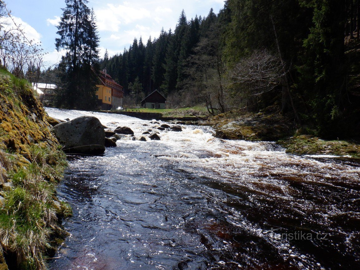 Bilder från Šumava - Křemelná och Vydra träffades och överlämnade sitt vatten till Otava