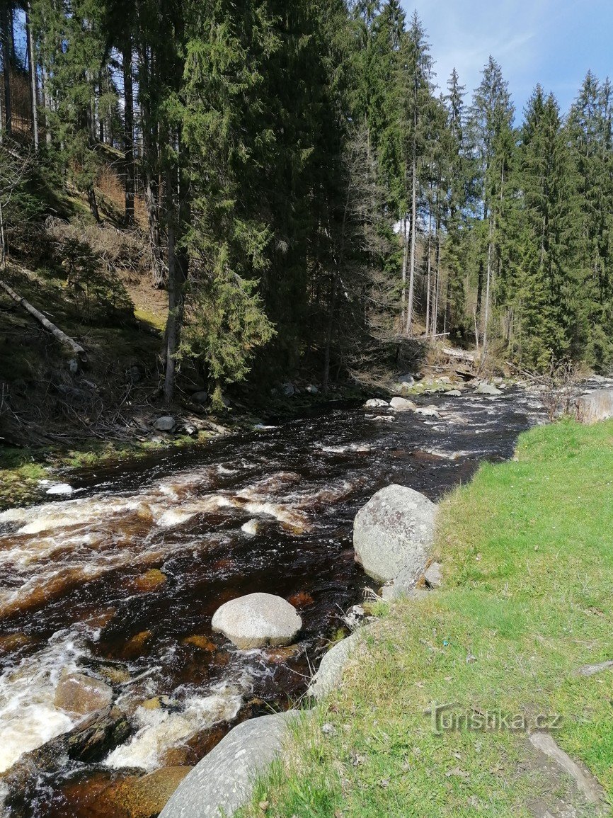 Kuvia Šumavasta - Křemelná ja Vydra tapasivat ja luovuttivat vesinsä Otavalle