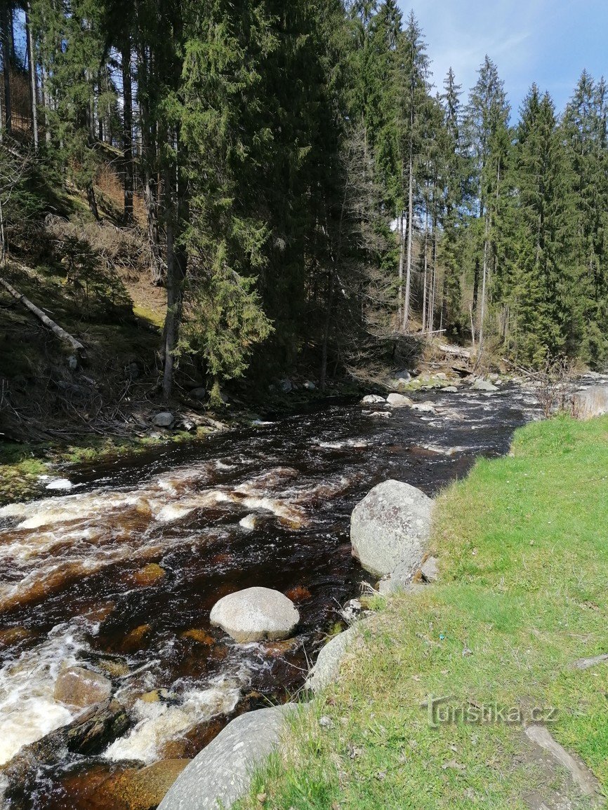 Billeder fra Šumava - Křemelná og Vydra mødtes og overrakte deres vand til Otava