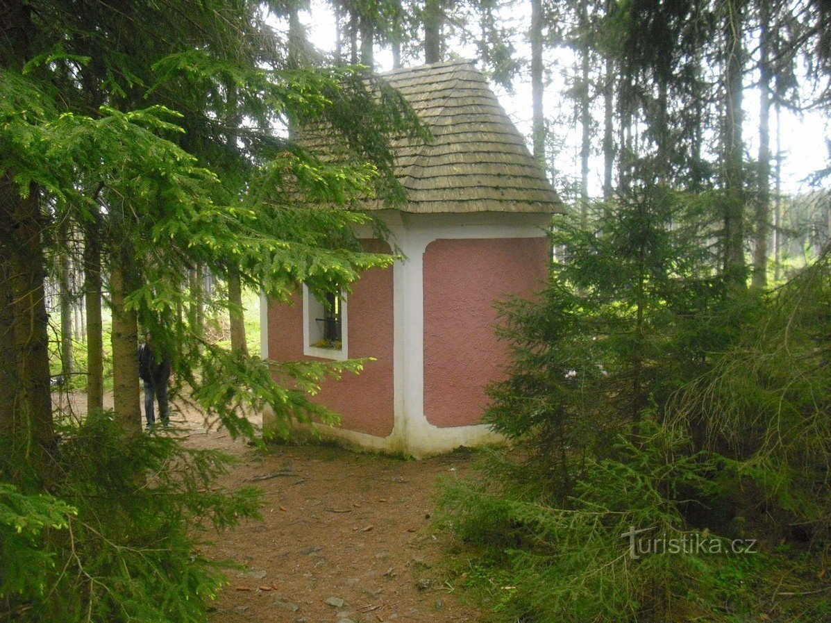 Imágenes de la región de Šumava – Rovina cerca de Hartmanice y St. Vintíř