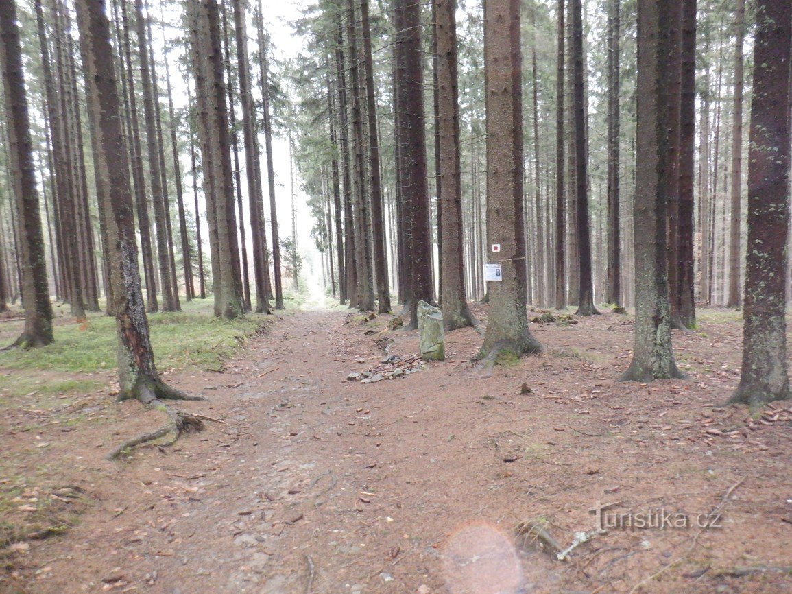 Bilder från Šumava - Železná Ruda och Adolf Kašpar-monumentet