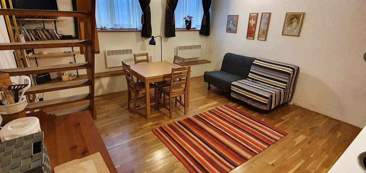 Obývací pokoj s kuchyňským koutem a rozkládacím jídelním stolem