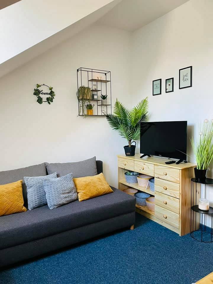 Living room with kitchenette. A sofa with the possibility of decomposition.